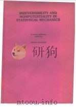 IRREVERSIBILITUY AND NONPOTENTIALITY IN STATISTICAL MECHANICS     PDF电子版封面     