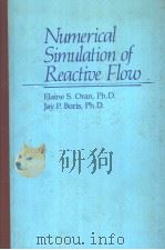 Numerical Simulation of Reactive Flow     PDF电子版封面     