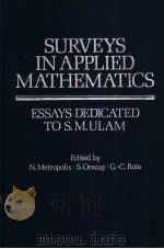 SURVEYS IN APPLIED MATHEMATICS     PDF电子版封面     