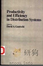 Productivity and Efficiency in Distribution Systems（ PDF版）