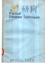 Practical Database Techniques（ PDF版）