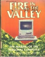 FIRE IN THE VALLEY     PDF电子版封面     