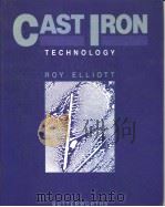 Cast Iron Technology     PDF电子版封面  0408015128   
