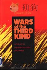 WARSOF THE THIRD KIND：CONFLICT IN UNDERDEVELOPED COUNTRIES（1988 PDF版）