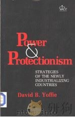 Power and Protectionism STRATEGIES OF THE NEWLY INDUSTRIALIZNG COUNTRIES（1983 PDF版）