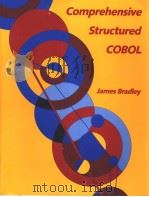 Comprehensive Structured COBOL     PDF电子版封面  0070070784   