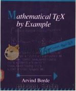 Mathematical TEX by Example     PDF电子版封面  0121176452   
