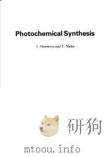 Photochemical Synthesis     PDF电子版封面     