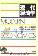 现代经济学   1994年02月第1版  PDF电子版封面    齐藤慎  永谷裕昭  平山健二郎  吹春俊隆著 