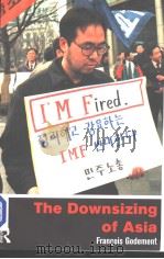 The Downsizing of Asia     PDF电子版封面  0415198348   