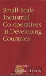 Small-Scale Industrial Producer Co-operatives in Developing Countries     PDF电子版封面    PETER ABELL NICHOLAS MAHONEY 