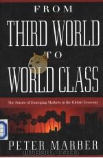 From Third World to World Class  The Future of Emerging Markets in the Global Economy     PDF电子版封面  0738201324  PETER MARBER 