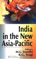 India in the New Asia-Pacific     PDF电子版封面  8170491290  M.L.Sondhi  K.G.Tyagi 