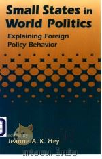 Small States in World Politics  Explaining Foreign Policy Behavior     PDF电子版封面  1555879438  Jeanne A.K.Hey 