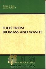 FUELS FROM BIOMASS AND WASTES（ PDF版）