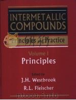 INTERMETALLIC COMPOUNDS：Principles and Practice Volume 1     PDF电子版封面     