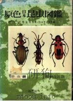 原色日本昆虫图鉴  （上册）  甲虫编（昭和30年01月第1版 PDF版）