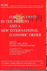 FOREIGN DEBTS IN THE PRESENT AND A NEW INTERNATIONSAL ECONOMIC ORDER     PDF电子版封面  081330489X  DETLEV CHR。DICKE University of 