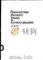 Грамматика　русского　языка　В　иллюстрациях     PDF电子版封面    К.И.Пехливанова　　М.Н.Лебедева 