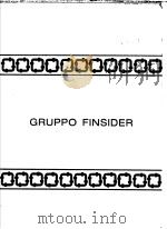 GRUPPO FINSIDER  IL GRUPPO FINSIDER（ PDF版）