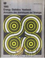 Energy Statistics Yearbook Annuaire des statistiques de l'energie 1985   1987  PDF电子版封面  9210611128   