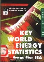 KEY WORLD ENERGY STATISTICS from the IEA 2002 EDITION     PDF电子版封面     