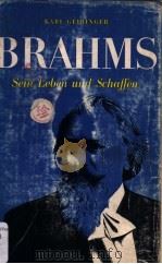 JOHANNES BRAHMS  Sein Leben und Schaffen     PDF电子版封面     