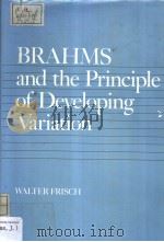 BRAHMS and the Principle of Developing Variation（ PDF版）