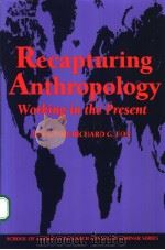 Recapturing Anthropology（ PDF版）