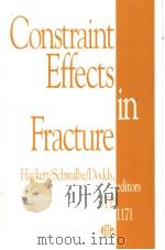 Constraint Effects in Fracture     PDF电子版封面  0803114818   