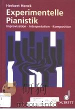 EXPERIMENTELLE PIANISTIK  IMPROVISATION INTERPRETATION KOMPOSITION SCHRIFTEN ZUR KLAVIERMUSIK 1982 B（ PDF版）