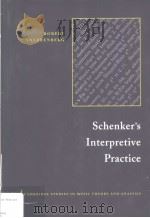 SCHENKER'S INTERPRETIVE PRACTICE     PDF电子版封面  0521497264  ROBERT SNARRENBERG 