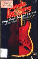 BOOGIE LIGHTNING HOW MUSIC BECAME ELECTRIC   1980  PDF电子版封面  030680123X  B.B.King 