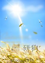 RECOLLECTIONS AND REFLECTIONS     PDF电子版封面  0837173663  WILLI SCHUH 