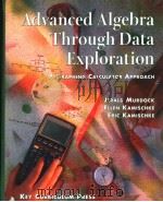 Advanced Algebra Through Data Exploration     PDF电子版封面  1559532254   
