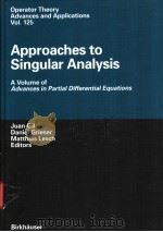 Approaches to Singular Analysis     PDF电子版封面  3764365188   