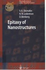 Epitaxy of Nanostructures     PDF电子版封面     