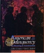Aerican Delinquency     PDF电子版封面     