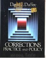 CORRECTIONS PRACTICE AND POLICY     PDF电子版封面  0075571218   