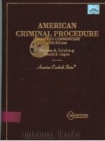 AMERICAN CRIMINAL PROCEDURE     PDF电子版封面  0314072144   