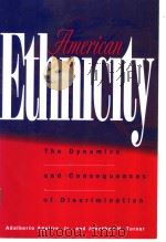 AMERICAN ETHNICITY（ PDF版）