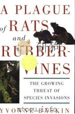A PLAGUE OF RATS AND RUBBERNINES     PDF电子版封面     