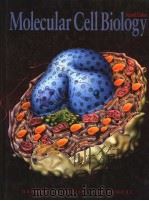 Molecular Cell Biology（ PDF版）