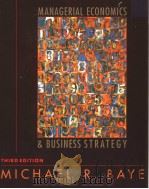 MANAGERIAL ECONOMICS BUSINESS STRATEGY     PDF电子版封面  0072358386   