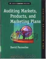 Auditing Markets Products and Marketing Plans（ PDF版）