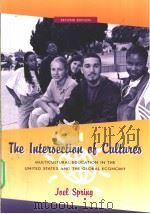The lntersection of Cultures     PDF电子版封面  0072320737   
