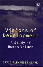 Visions of Development A Study of Human Values     PDF电子版封面  1840649828   