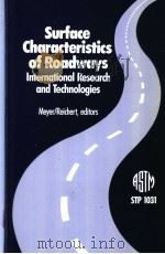 Surface Characteristics of Roadways:International Research and Technologies(STP1031)     PDF电子版封面  0803113919   