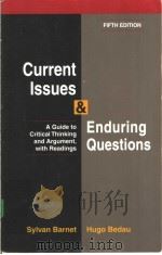 CURRENT ISSUES AND ENDURING QUESTIONS     PDF电子版封面  0312171544   