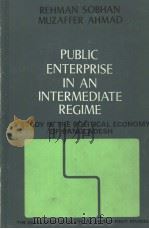 Public Enterprise in an Intermediate Regime     PDF电子版封面    A STUDY IN THE POLITICAL ECONO 